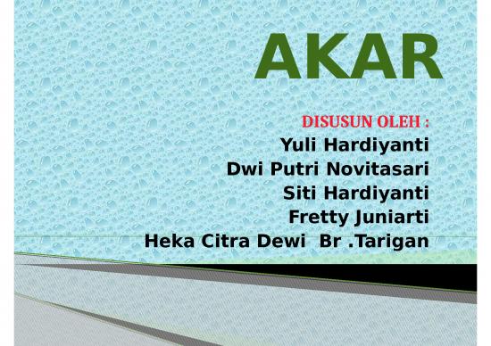 picture_Morfologi Akar - Sistem Perakaran Tumbuhan