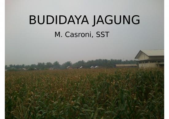 picture_Budidaya Jagung - Komponen Teknologi - Pemilihan Varietas - Penyiapan Lahan - Penanaman Dan Pemupukan - Pengendalian Hama - Panen