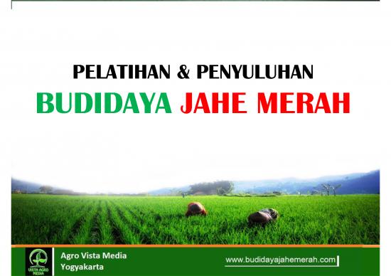 picture_Pelatihan Budidaya Jahe Merah