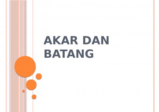 picture_Akar Dan Batang - Biologi
