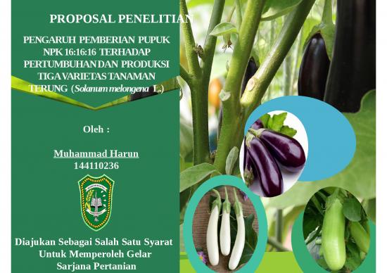 picture Powerpoint Templates Proposal 4179 | Pupuk Npk Tanaman Terung - Pengaruh Pemberian Pupuk Npk 161616 Terhadap Pertumbuhan Dan Produksi Tiga Varietas Tanaman Terung Solanum Melongena L