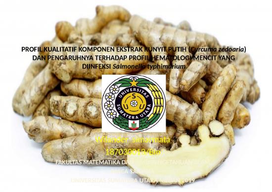 picture_White Ppt Template 4436 | Konservasi Kunyit Putih - Profil Kualitatif Komponen Ekstrak Kunyit Putih Curcuma Zedoaria