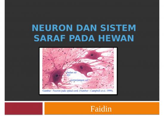 picture_Neuron Dan Sistem Saraf Pada Hewan