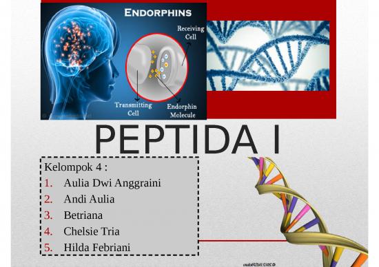 picture_Reaksi Asam Amino 4483 | Peptida - Satu Atau Lebih Asam Amino Yang Dihubungkan Dengan Suatu Ikatan Kovalen