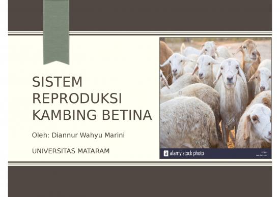 picture1_Outline For Powerpoint Presentation Example 4499 | Sistem Reproduksi Kambing Betina