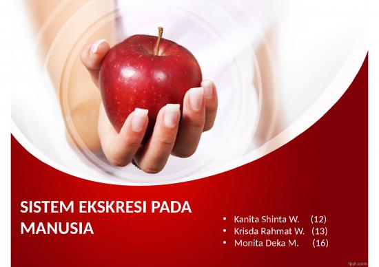 picture_Sistem Ekskresi Pada Manusia