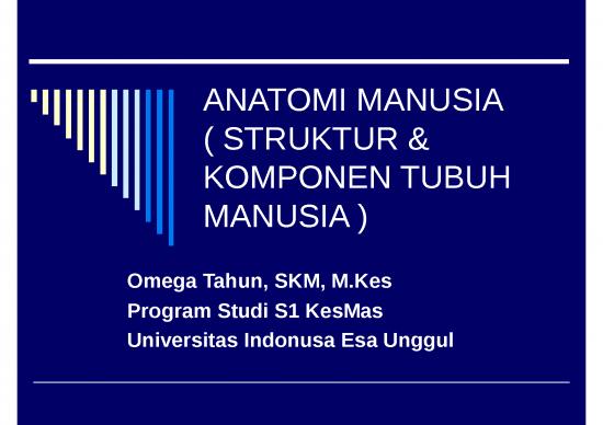 picture_Kardiovaskuler Yaitu 4606 | Anatomi Manusia - Struktur Dan Komponen Tubuh Manusia