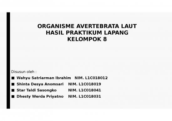 picture Organisme Avertebrata Laut