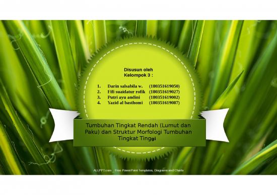 picture_Lumut Dan Paku - Tumbuhan Tingkat Rendah - Dan Struktur Morfologi Tumbuhan Tingkat Tinggi