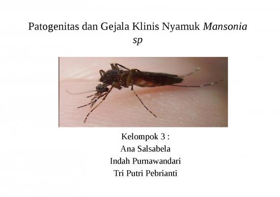 picture Vektor Filariasis 4809 | Patogenitas Dan Gejala Klinis Nyamuk Mansonia Sp