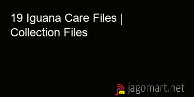 picture 19 Iguana Care Files | Collection Files
