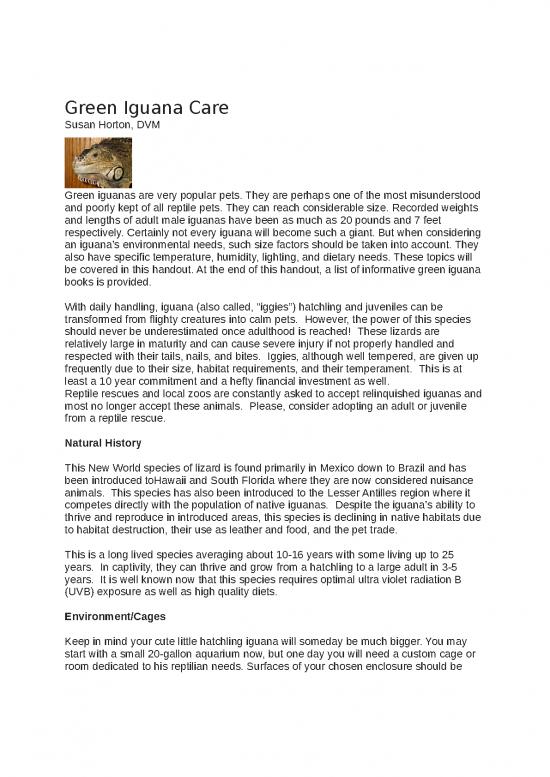 picture Iguana Care Id 24722 | 355e2d9f 73b4 4495 A103 De1c824ec624 Green Iguana Care Chicago Exotic Animal Hospital