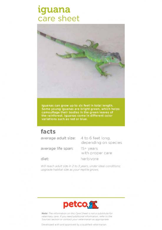 picture Iguana Care Id 24718 | Caresheet Tropical Iguana 2016