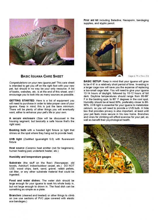 picture Iguana Care Id 24741 | Eaff735f5d673773b3800642d4f0a6fe Corhs Iguana Care Sheet