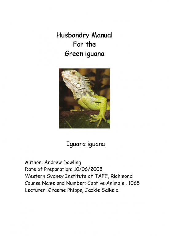 picture_Iguana Care Id 24724 | Green Iguana