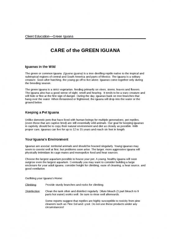 picture_Iguana Care Id 24723 | Green Iguana 4