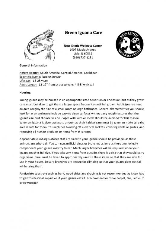 picture Iguana Care Id 24745 | Green Iguana Care