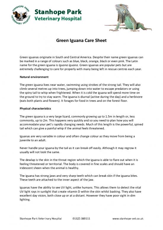 picture_Iguana Care Id 24748 | Green Iguana Care Sheet Stanhope