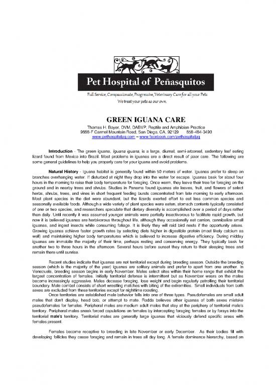 picture Iguana Care Id 24747 | Green Iguana Carefinal