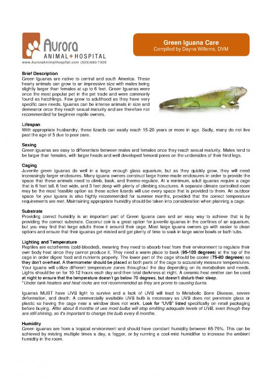 picture Iguana Care Id 24733 | Iguana Care   Aurora Animal Hospital