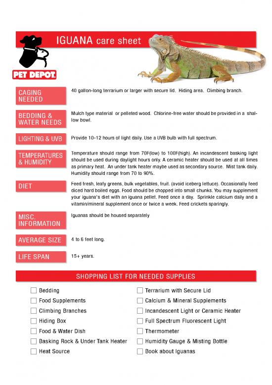 picture Iguana Care Id 24729 | Iguana Care Sheet