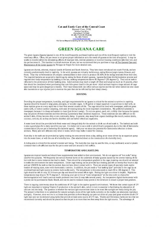 picture Iguana Care Id 24739 | Iguanas