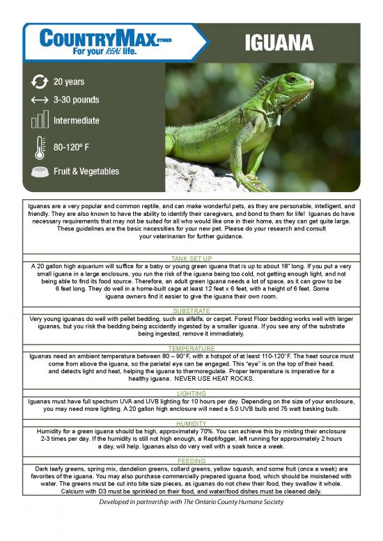 picture Research Pdf 24742 | Iguanas Care Sheet