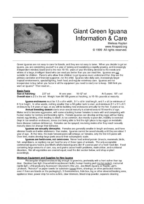 picture Iguana Care Id 24736 | Onepageigcare