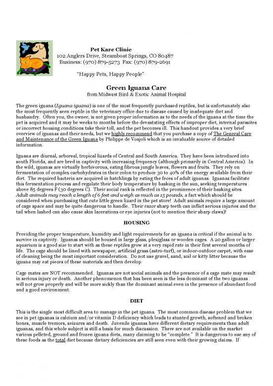 picture Iguana Care Id 24730 | Pkc Green Iguana Care