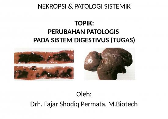 picture_Contoh Penilaian Pembelajaran 27293 | Tugas Patologi Sistemik Dan Nekropsi (sistem Digestivus)