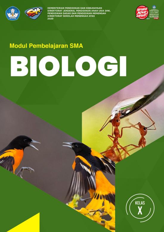 picture_Pembelajaran Pdf 38105 | Salinan Plantae