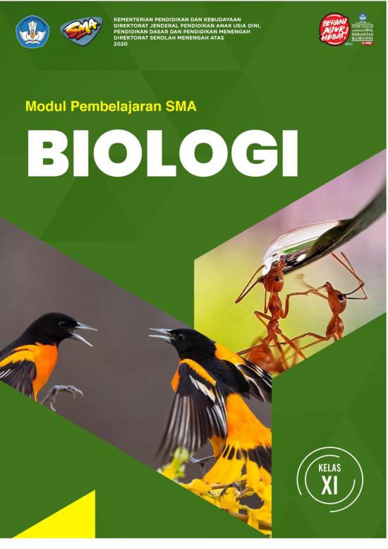 picture1_Pembelajaran Pdf 38108 | Salinan Sistem Pernafasan