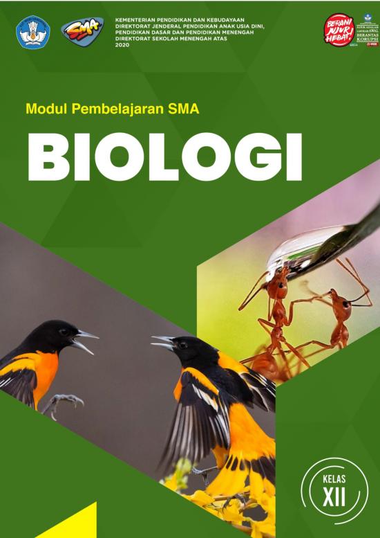 picture_Pembelajaran Pdf 38100 | Salinan Xii Biologi Kd 3 4 Final