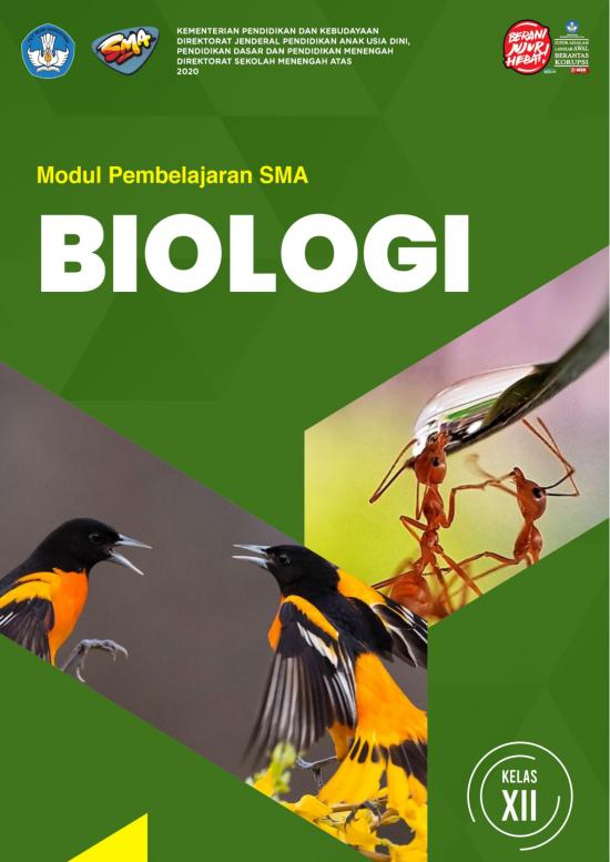 picture_Pembelajaran Pdf 38102 | Salinan Xii Biologi Kd 3 9 Final
