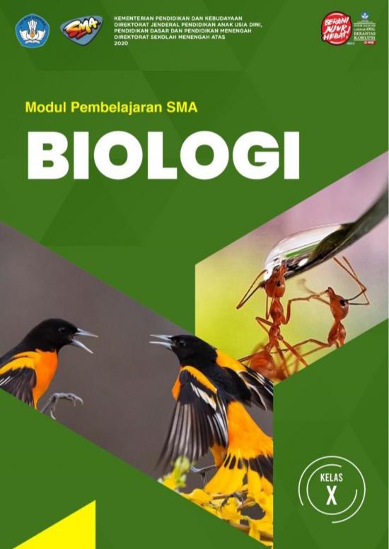 picture Pembelajaran Pdf 38075 | X Biologi Kd 3 Final