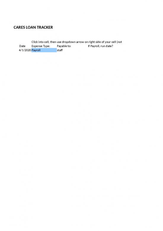 picture Expense Tracker Template 40701 | Cares Loan Spending Tracker