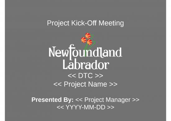picture Project Management Spreadsheet Template 42895 | Pmo Docs Project Kickoff Presentation Template