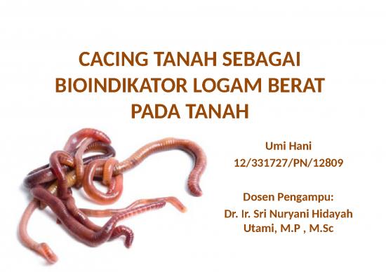 picture_Cacing Tanah - Bioindikator Logam Berat Pada Tanah