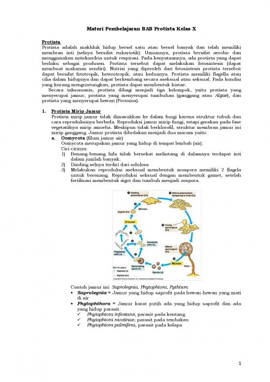picture_Pembelajaran Pdf 5224 | Materi Kelas 10 - Pembelajaran Bab Protista