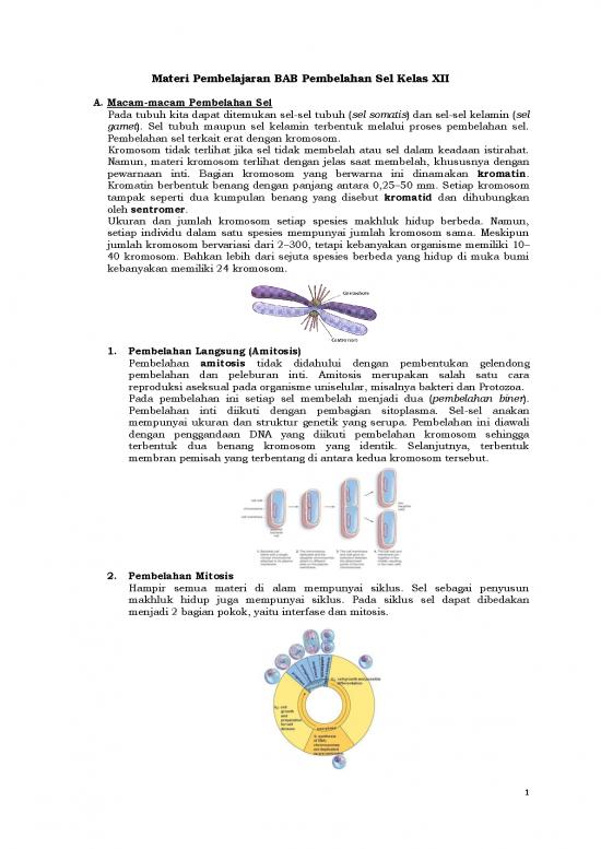 picture_Pembelajaran Pdf 5246 | Materi Kelas 12 - Pembelajaran Bab Pembelahan Sel