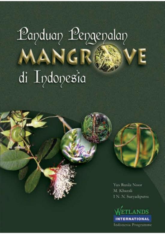 picture_The Environment Pdf 5413 | Panduan Pengenalan Mangrove Di Indonesia