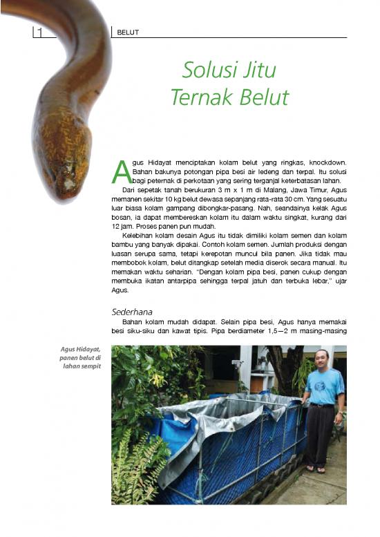 picture1_Tanah Pdf 5896 | Solusi Jitu Ternak Belut