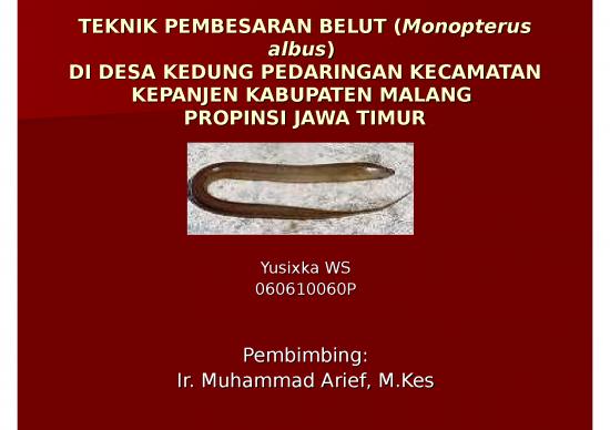 picture1_Presentasi Usaha Ppt 5897 | Teknik Pembesaran Belut Monopterus Albus - Di Desa Kedung Pedaringan