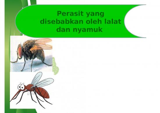 picture_Green Theme Powerpoint 46875 | Pp Parasit Oleh Nyamuk Dan Lalat