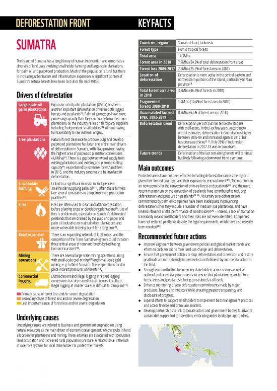 picture_Deforestation Pdf 50319 | Deforestation Fronts Factsheet   Sumatra