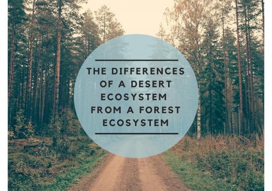 picture1_The Environment Pdf 49698 | The Differences Of A Desert Ecosystem From A Forest One