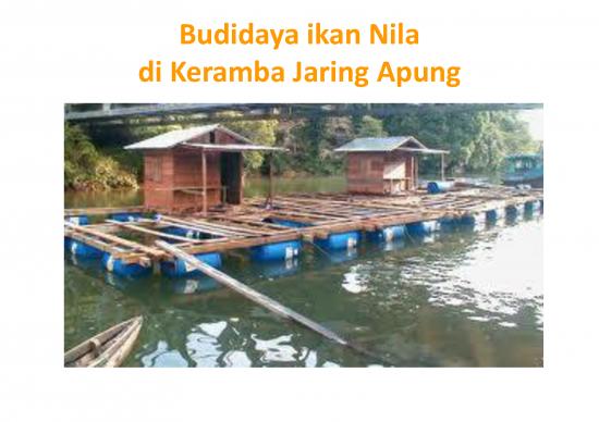 picture1_1573547711 Budidaya Ikan Nila Dengan Keramba Jaring Apung