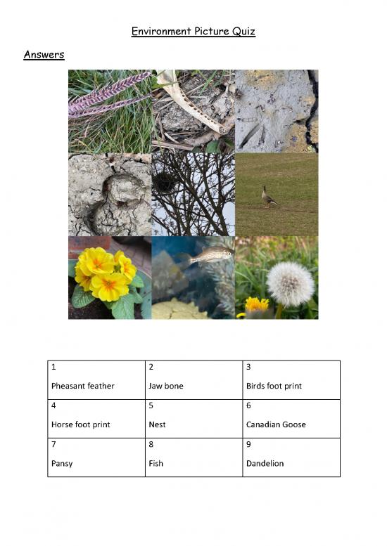 picture The Environment Pdf 55420 | 6c Environment Picture Quiz Answers
