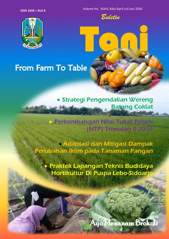 picture Budidaya Brokoli Pdf 58175 | Buletin Tani Tw Ii Tahun 2016