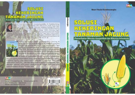 picture Jagung Pdf 58487 | Novri Y Kandowangko Buku Solusi Kekeringan Tanaman Jagung Pemanfaatan Mikroba Azospirillum Dan Mikoriza Arbuskula